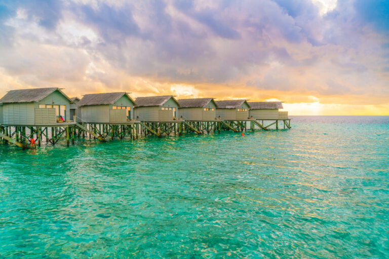Que faire à Zanzibar ? Guide complet pour visiter l’île